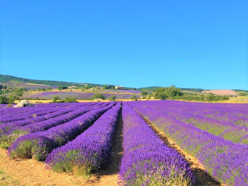Отель Domaine Du Val De Sault Экстерьер фото